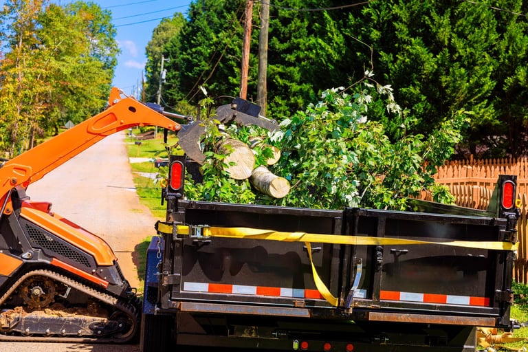 Branches and debris after storm cleanup
